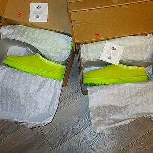 BRAND NEW UGG TASMAN